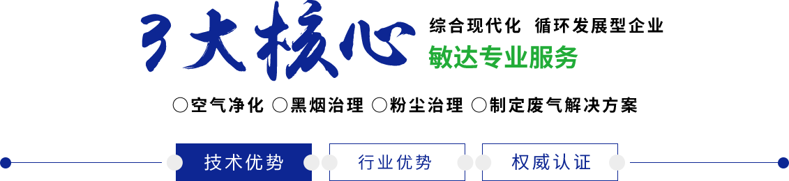 国产大鸡吧操逼视频敏达环保科技（嘉兴）有限公司